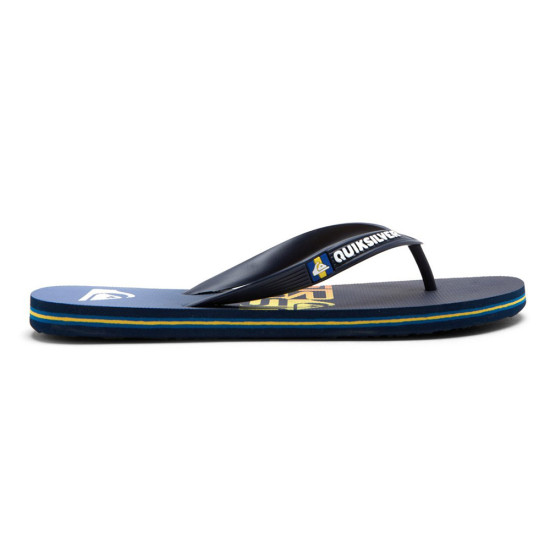 Quiksilver Molokai Art - Flip-Flops for Young Men